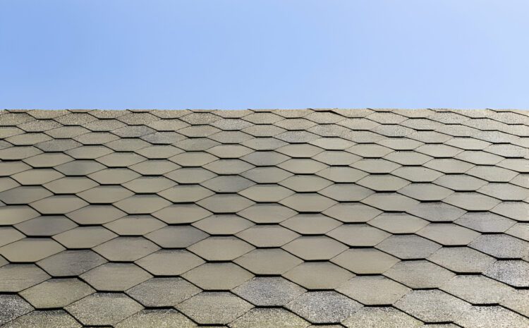  Exploring the Diversity: A Comprehensive Guide to Common Roof Types